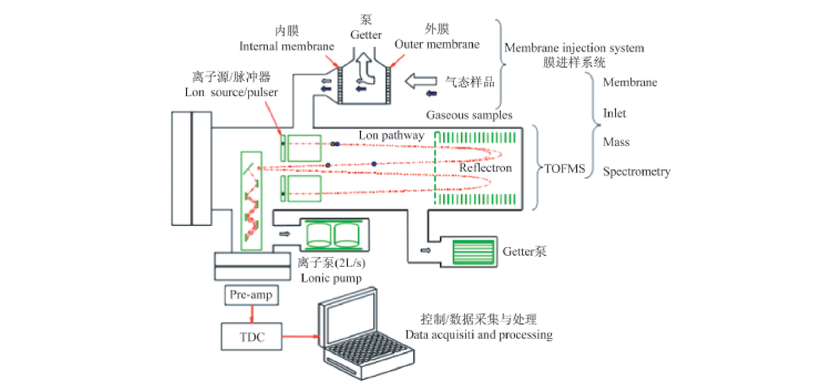 基于飞行时间质谱原位检测的5种绿化植物异戊二烯释放速率