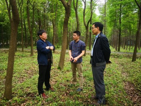 中国科学院沈阳应用生态研究所朱教君研究员一行莅临上海城市站参观调研