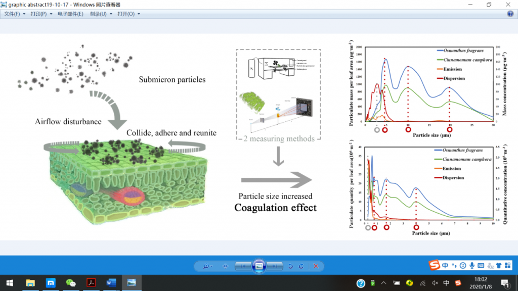 探索空气亚微米颗粒对植物叶片的凝结作用