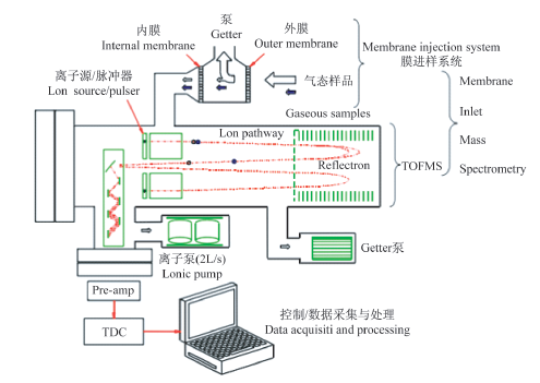 基于飞行时间质谱原位检测的5种绿化植物异戊二烯释放速率