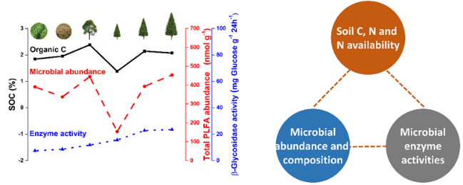 揭示树种和年龄对土壤有机质和土壤微生物群落结构和功能的影响