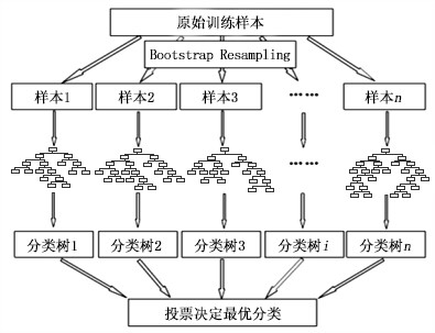 首创随机森林（算法）的城市负离子对环境因素敏感性分析